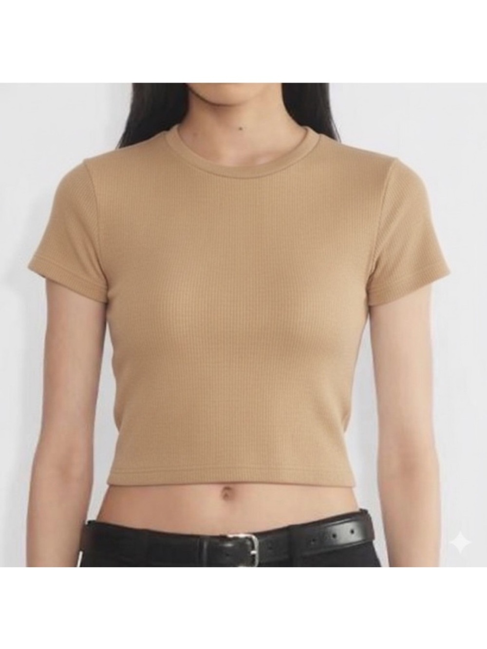 Tna Waffle Knit Crop Shortsleeve Tan Size Medium